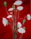 Queen Annes Lace 18"x24" oil on canvas