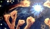 "We Rise" acrylic, enamel & oil on panel 30"x70"